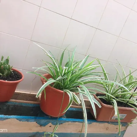 Jiaqi Casa בית אירוח *